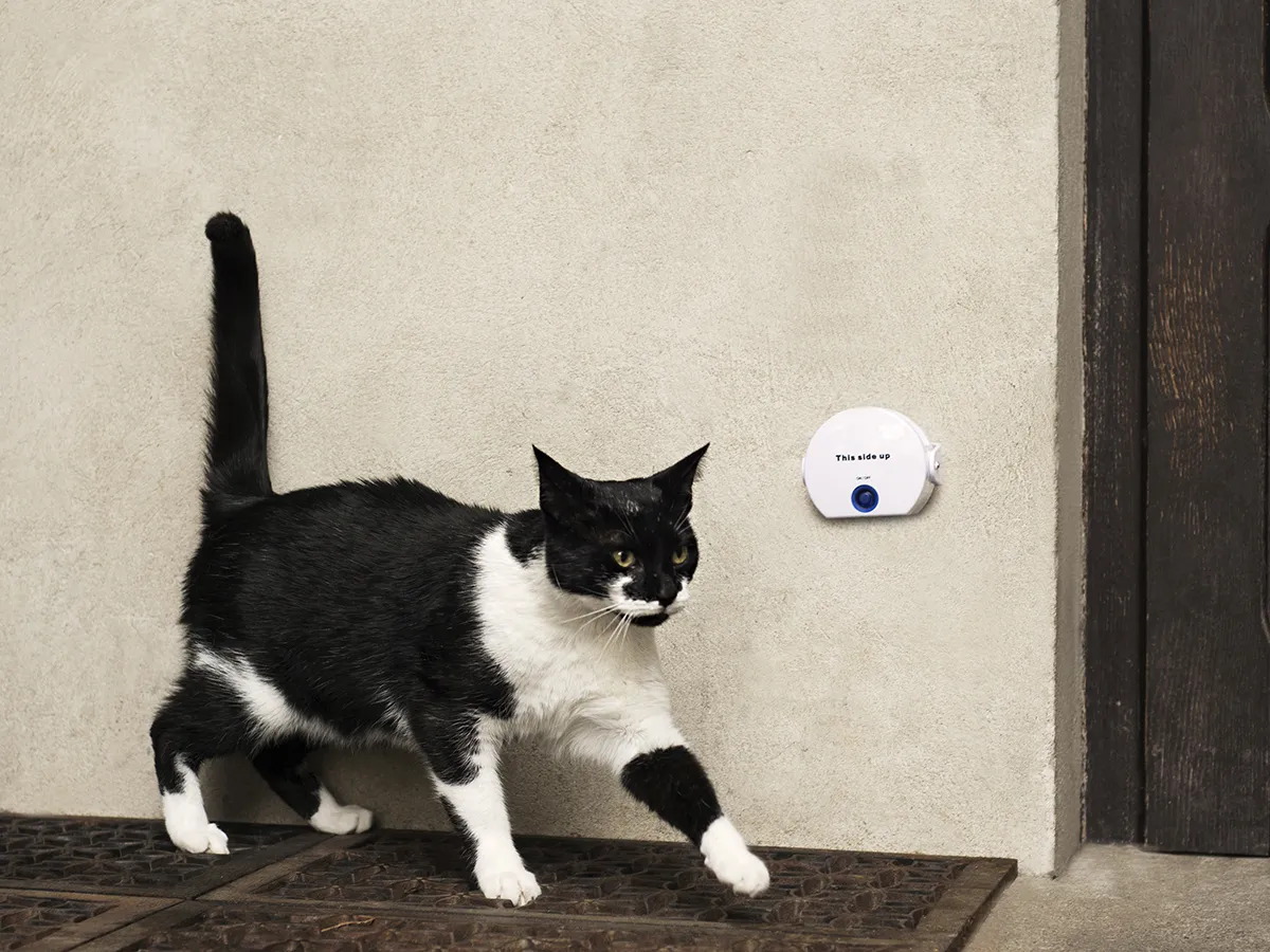 Cat Doorbell